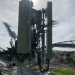 Mono Palm Mod