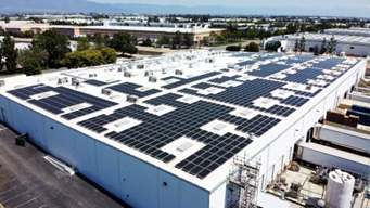 Sustainability1